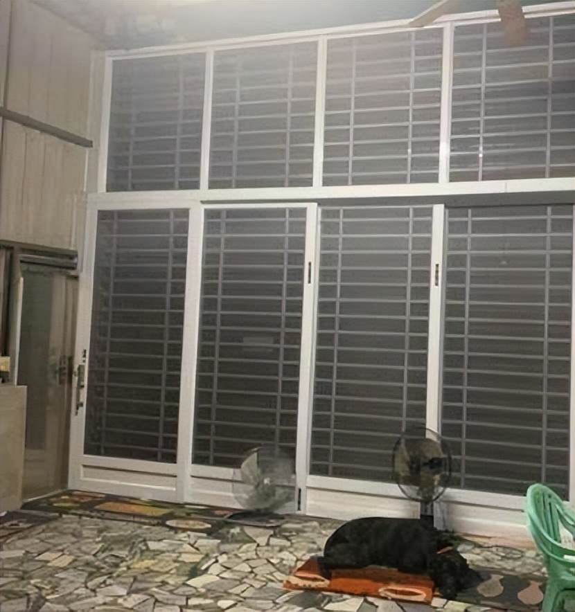 狗狗半夜狂吠被斥责，隔天回放视频感动，妈妈错怪你们了！