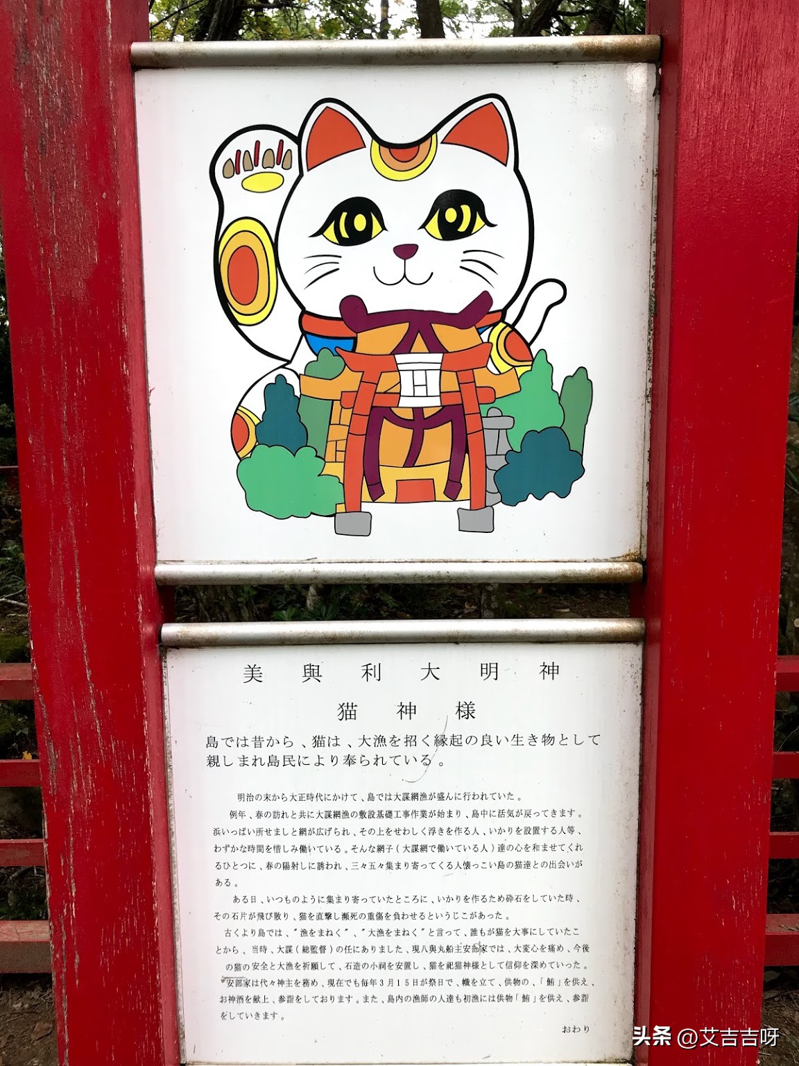 全世界猫最多的猫岛,为什么猫岛上面要有这么多猫