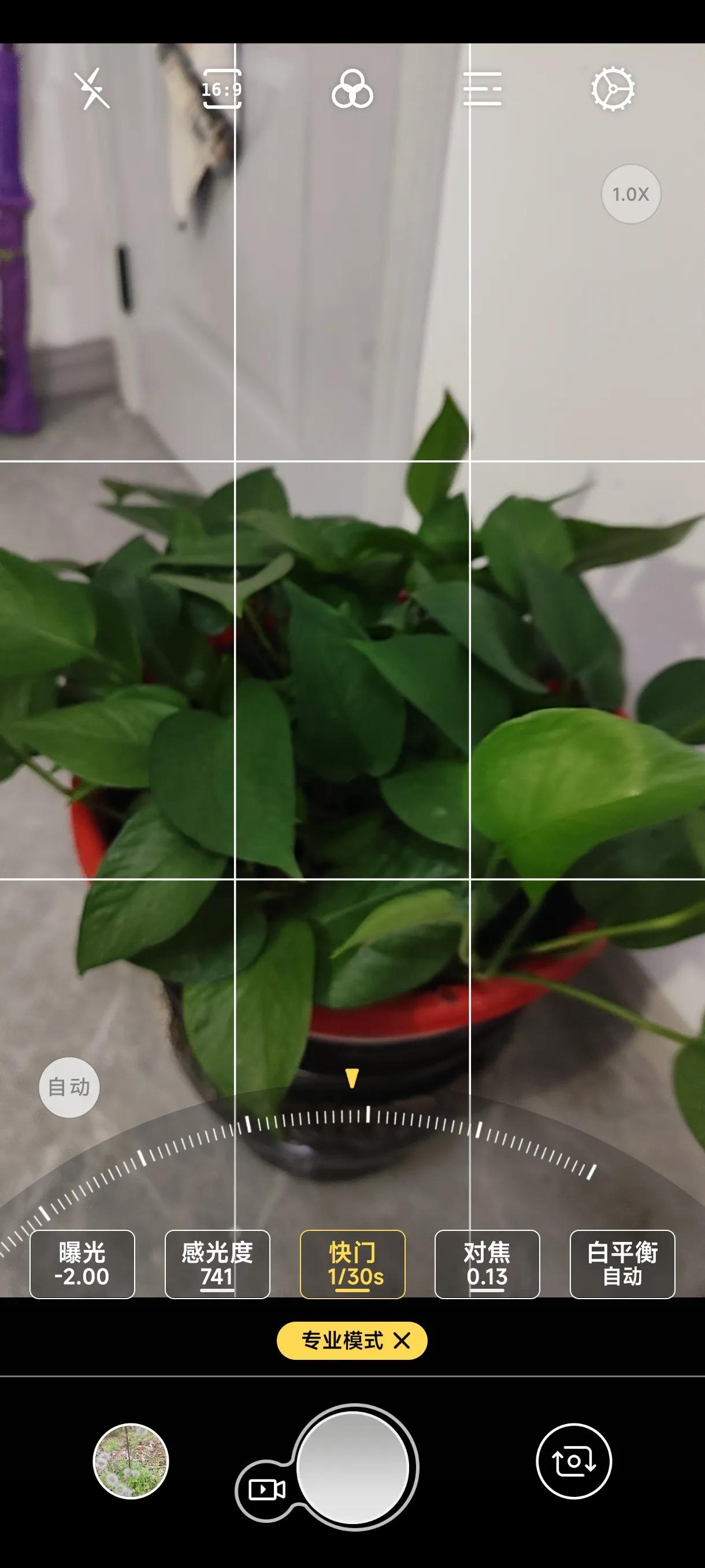 免费拍照翻译软件app下载,可拍照识别植物的免费软件