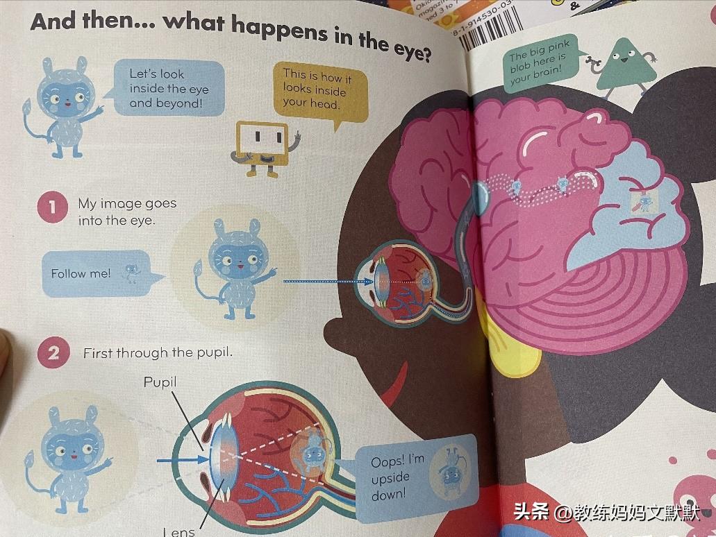 推荐订阅的儿童杂志有哪些,中国含金量高的儿童杂志推荐