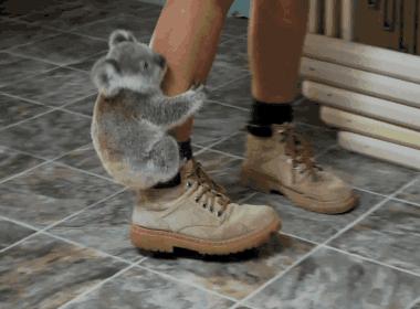 拉筋板真的会瘦肌肉小腿么,拉筋板真的可以瘦哪里