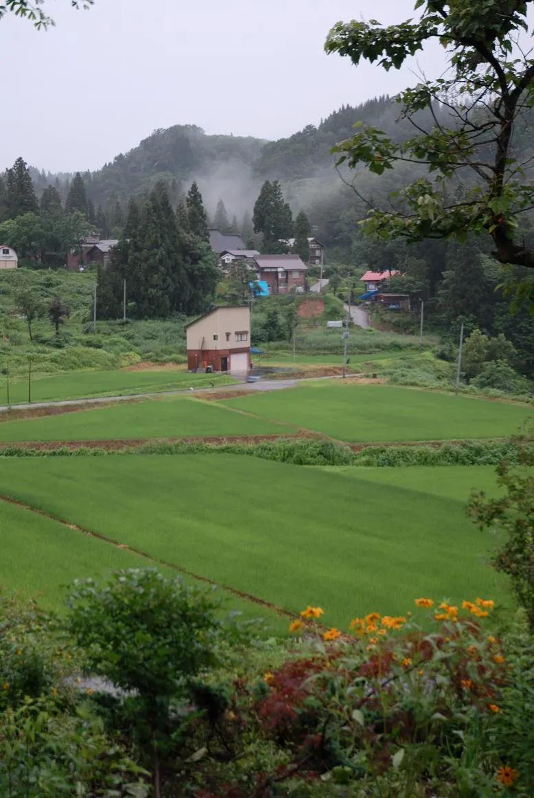 农村热门的小生意做什么好,现在农村做什么小生意比较好挣钱