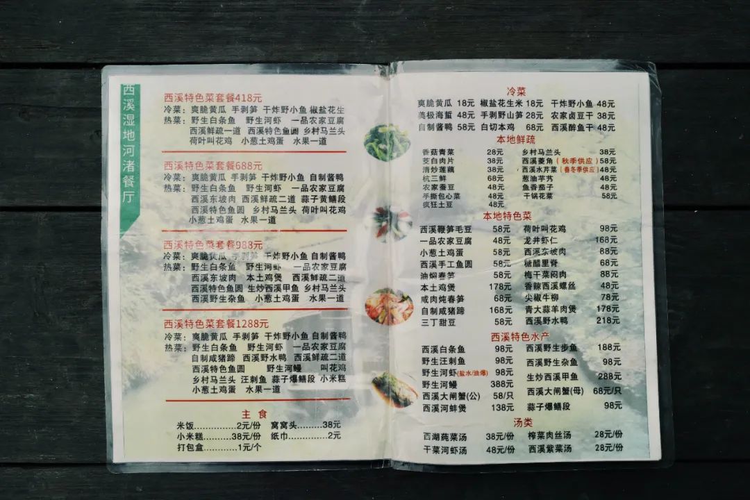 春天的潺潺溪水,春天的顶流