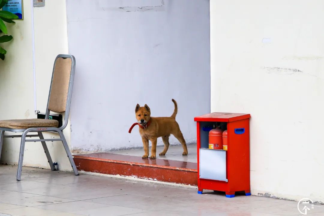 深圳航空空姐空少,深圳航空空少乘务员