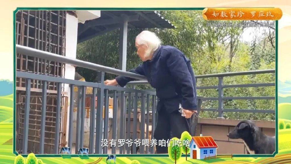 11种常见的水果知识,高手在民间水果