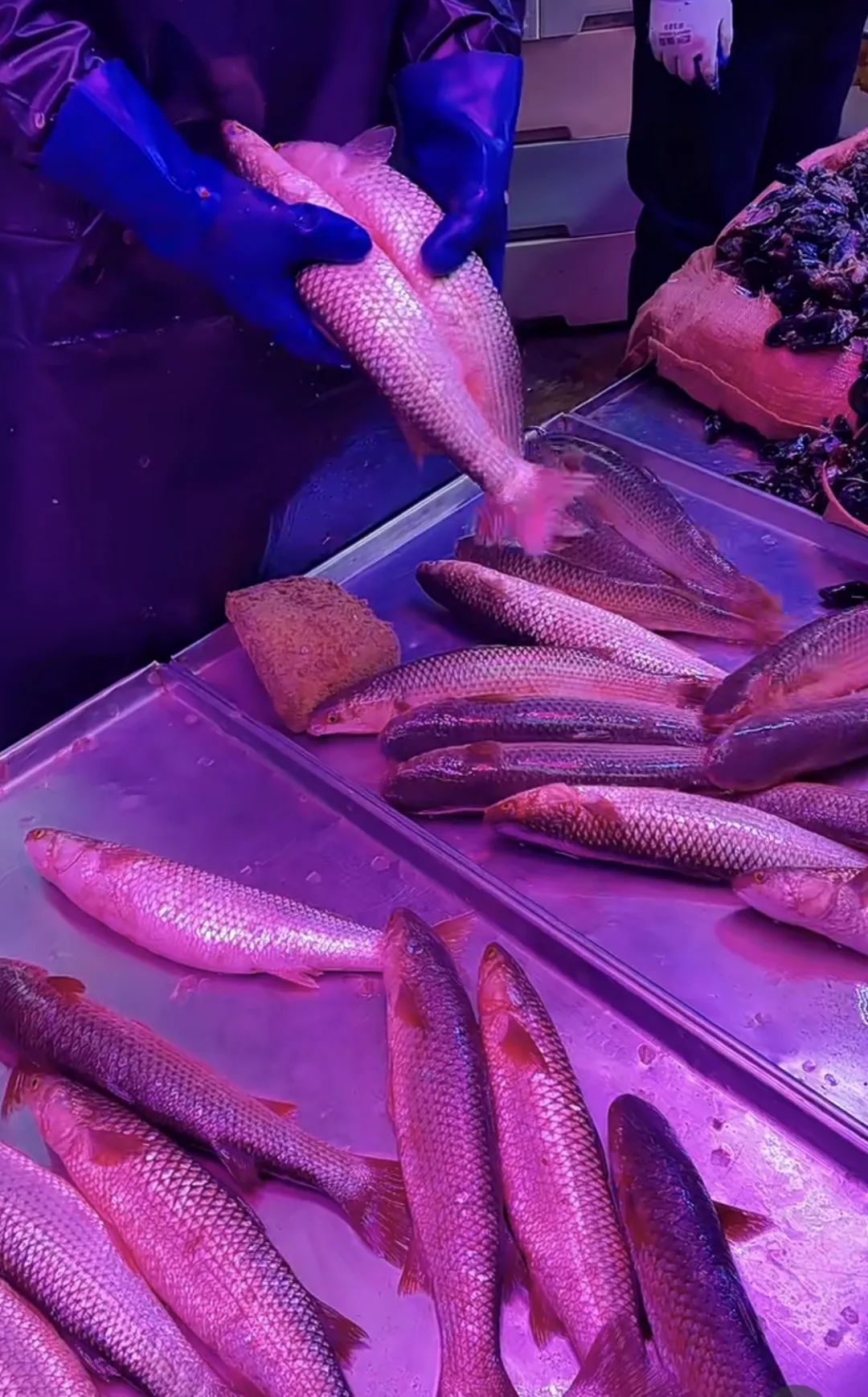 秦皇岛冰凉爽口的美食,秦皇岛春季菜