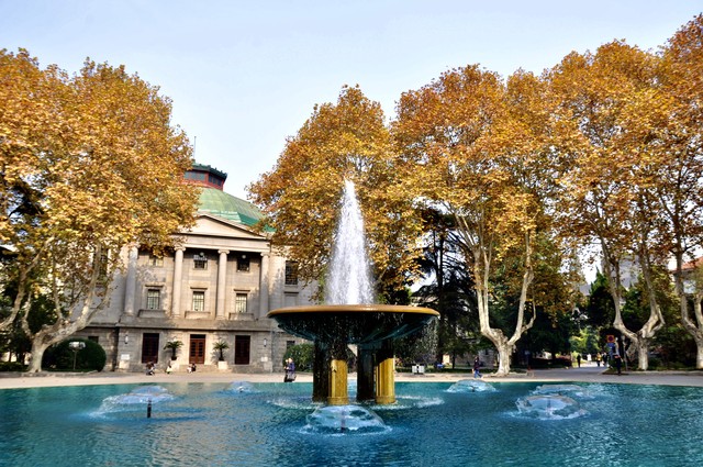 国家中心医院排名,中国医学中心医院排名