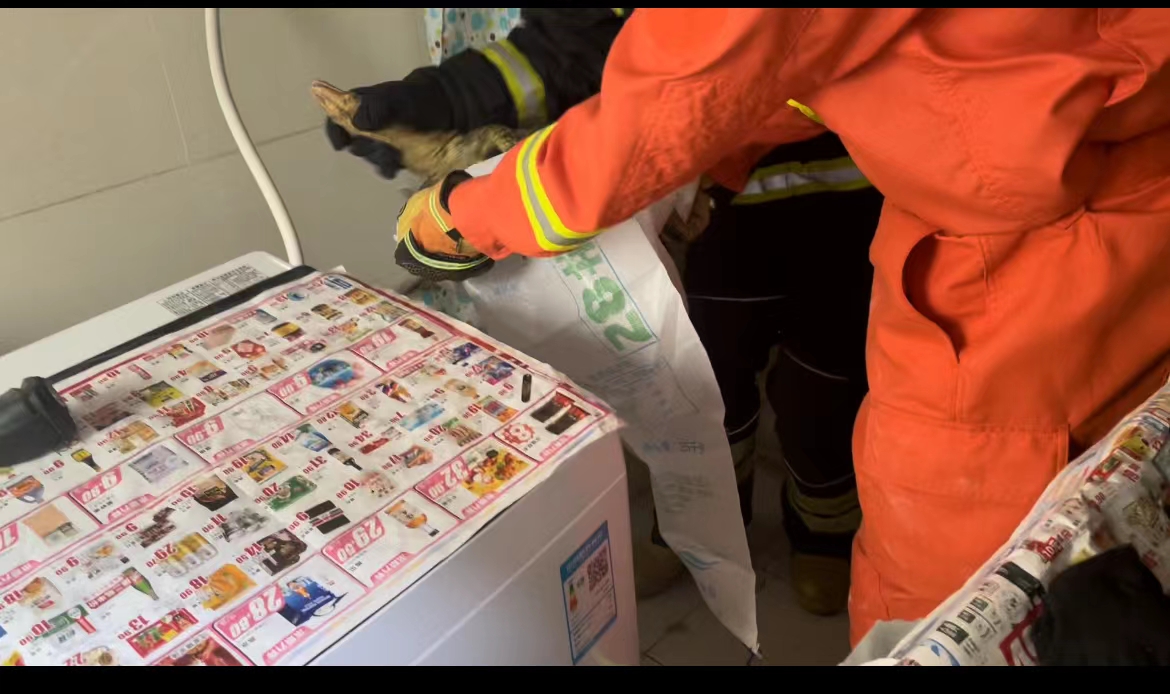 居民家中现1米2长巨型蜥蜴,住户家中惊现巨型蜥蜴