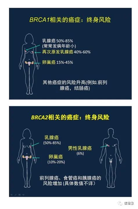 遗传性卵巢癌做基因检测,卵巢恶性肿瘤患有家族史的占多少