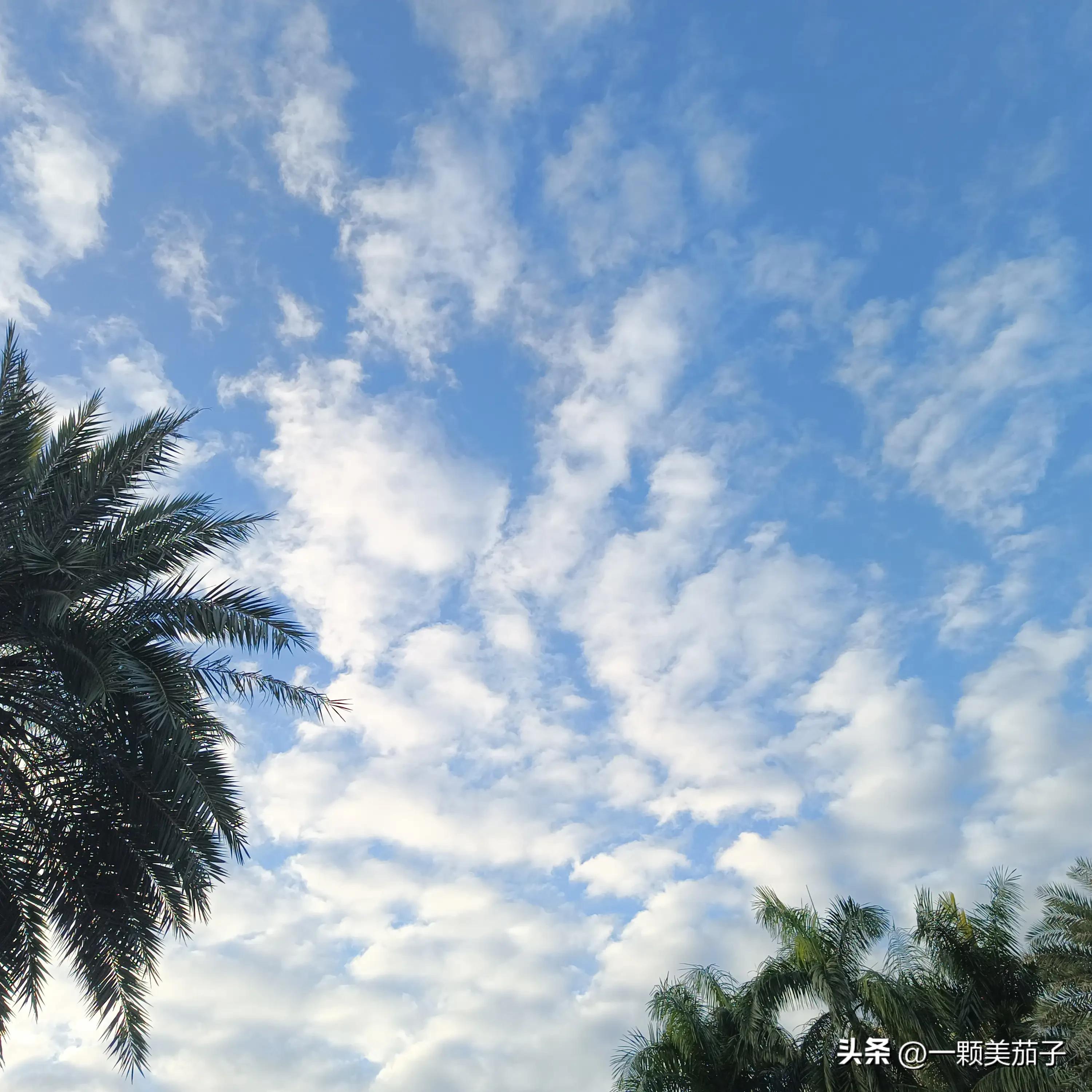 自媒体三个月赚了40元还要坚持吗,自媒体四个月赚3千少了吧