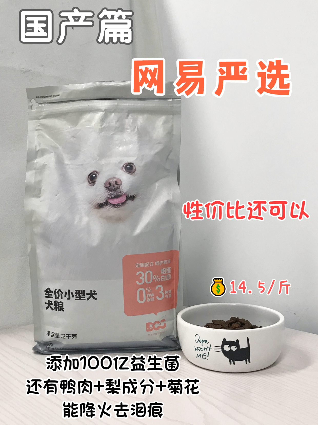 养狗不养傻狗,养狗不花冤枉钱