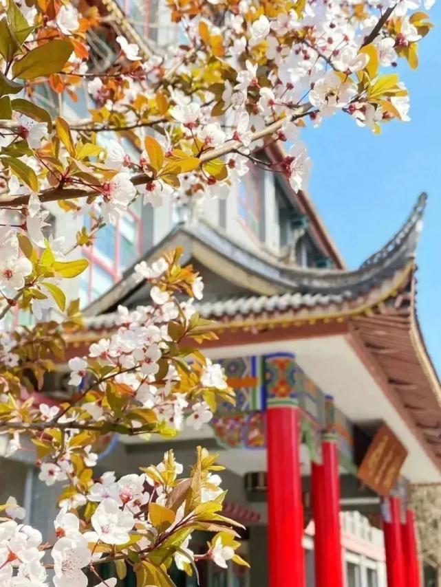 成都高校现在对外开放了吗,成都高校最新消息