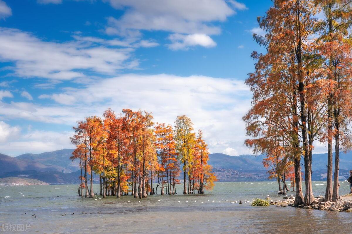 10月份适合出游的地方,最适合一个人旅行的10个漫游地