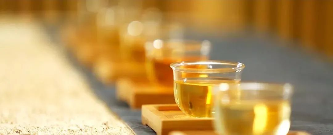 白茶书籍林振传,林振传白茶传承人