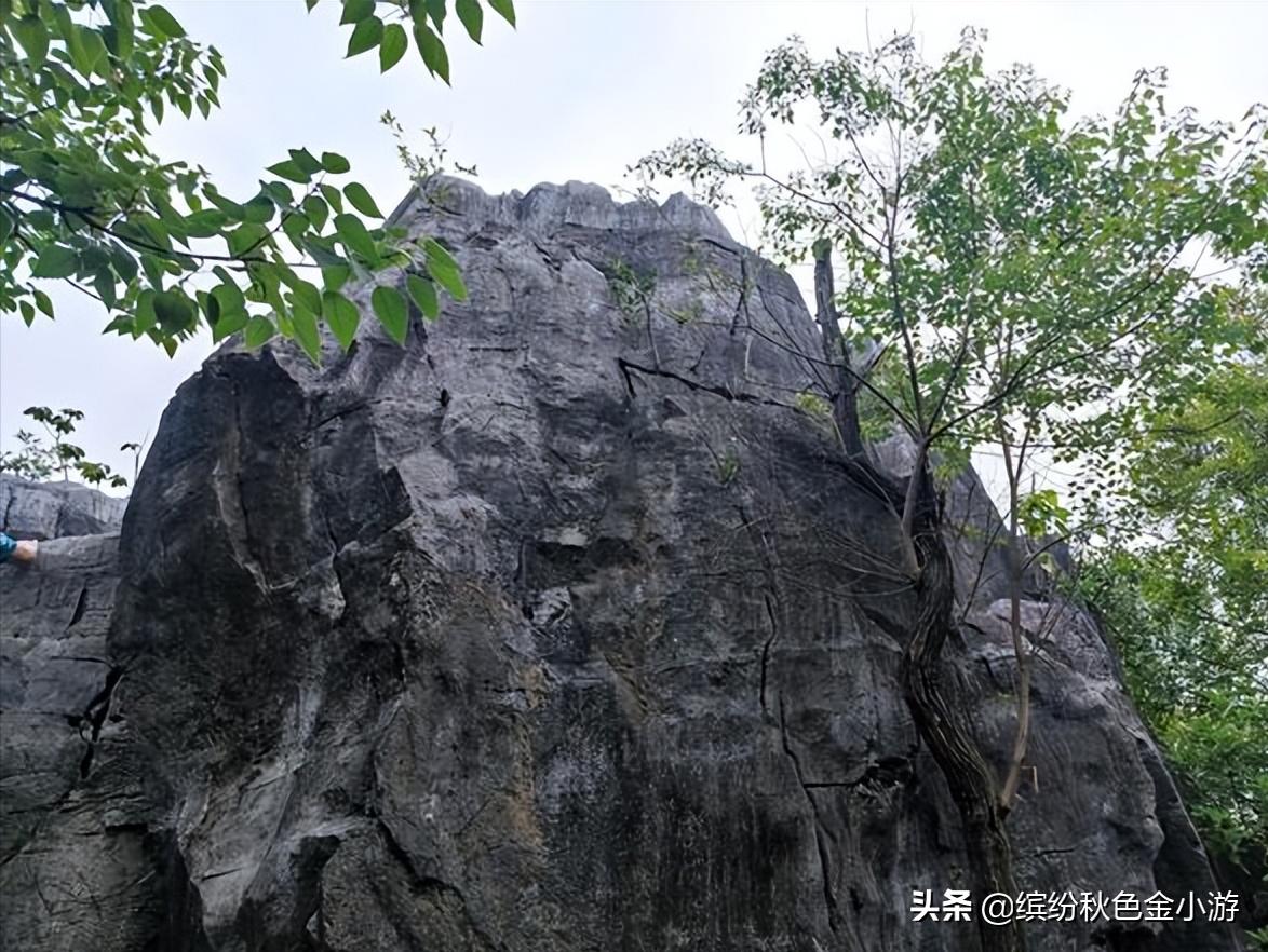 广西柳州有个小而美的公园，很多本地人都不知道，它原是个臭水塘