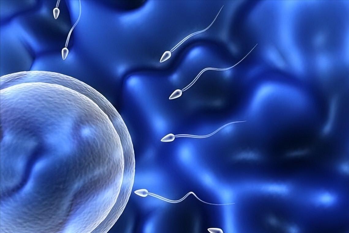 博士11天捐精5次猝死，家属要求400万赔偿，责任谁来承担？