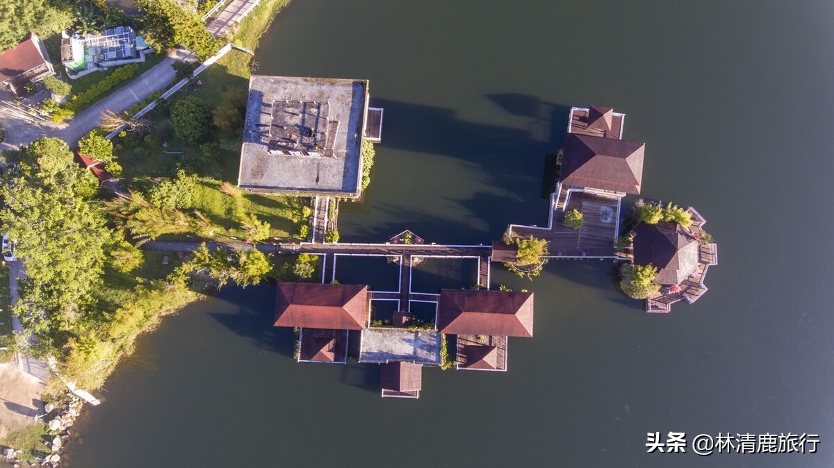 东北人为什么扎堆海南,海南三亚东北人为什么那么多