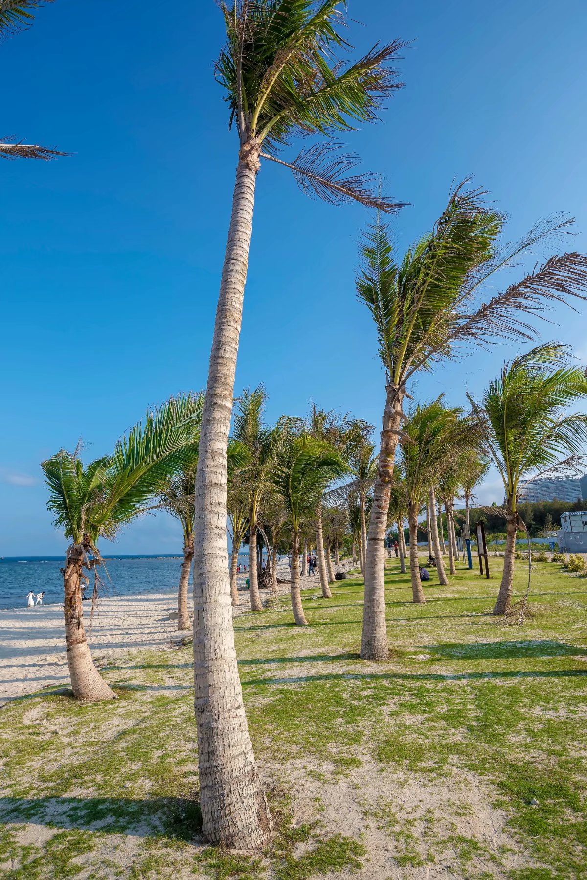 泰国三亚旅游对比,三亚和泰国旅游选择哪里