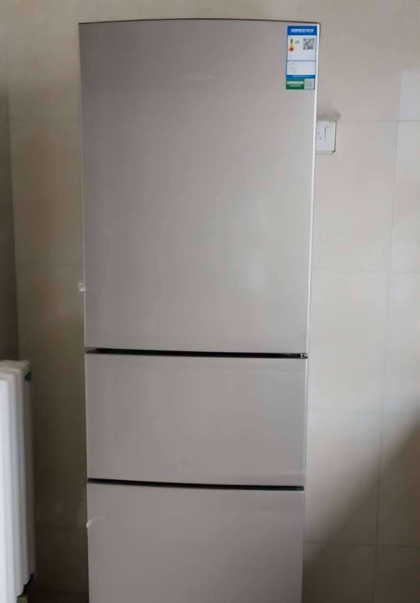 看懂冰箱参数选购合适的冰箱,冰箱如何挑选怎么看参数