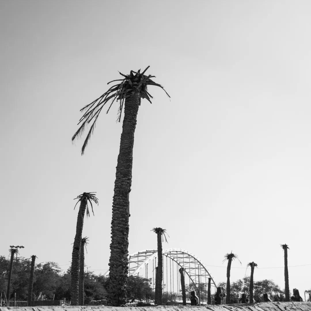 伊拉克热炸了,伊拉克热