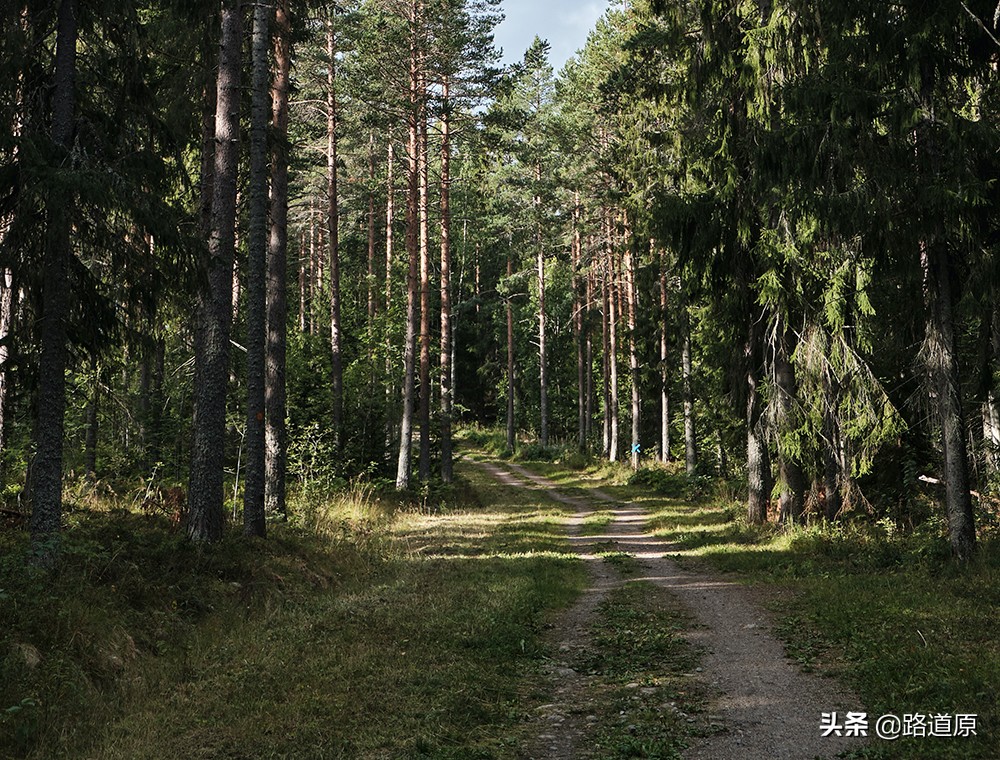 车匪路霸还在吗,为什么现在没有街霸了
