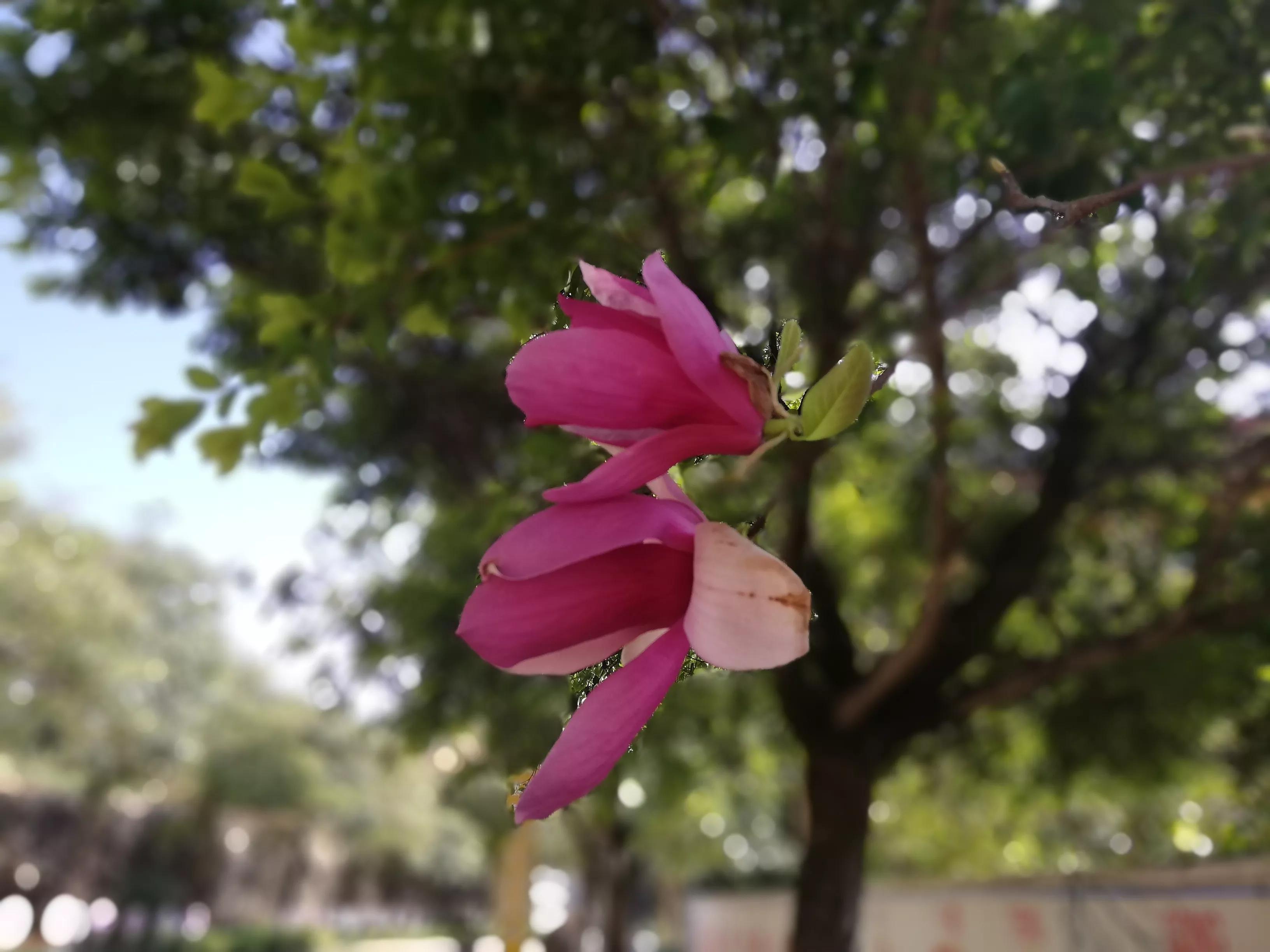 思辨与立场深度讲解,思辨与立场怎么读