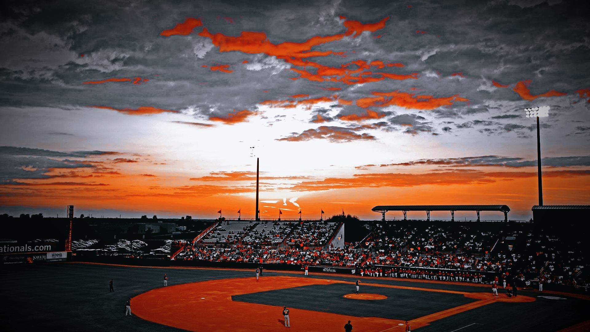 贝比鲁斯投手和击球手,贝比鲁斯王牌投手