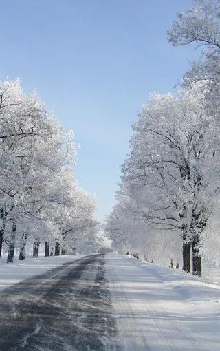 晚来天欲雪能饮一杯无全诗翻译,晚来天欲雪能饮一杯无类似的句子