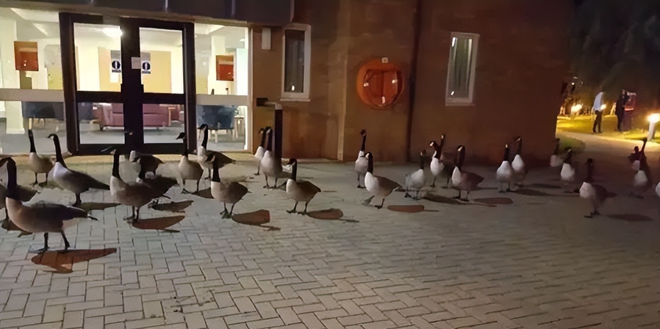 英国华威大学qs世界排名排第几,最新华威大学排名