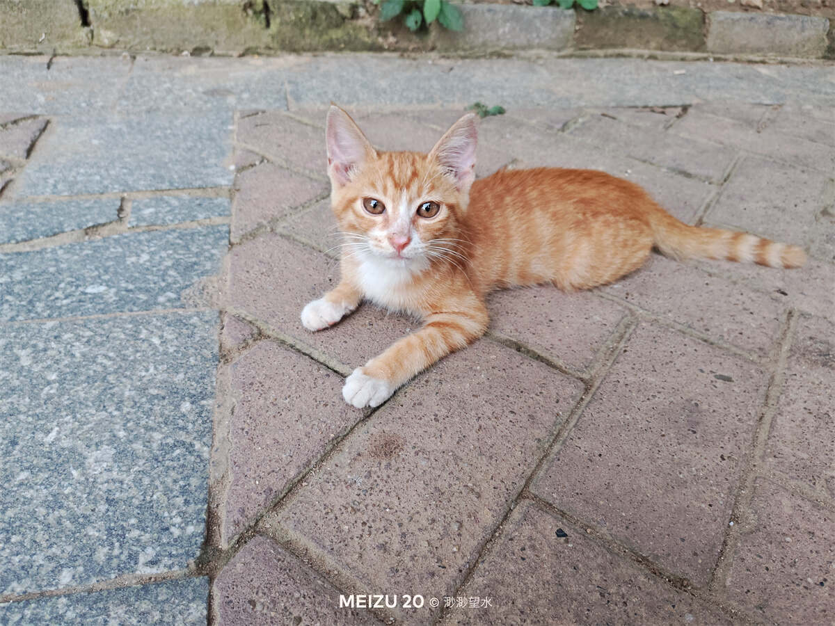 魅族20独白测评体验，来自魅友的10问，到底值不值得入手？