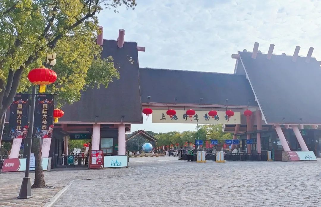 一月份去上海野生动物园和海洋馆,十一带大家去上海野生动物园玩