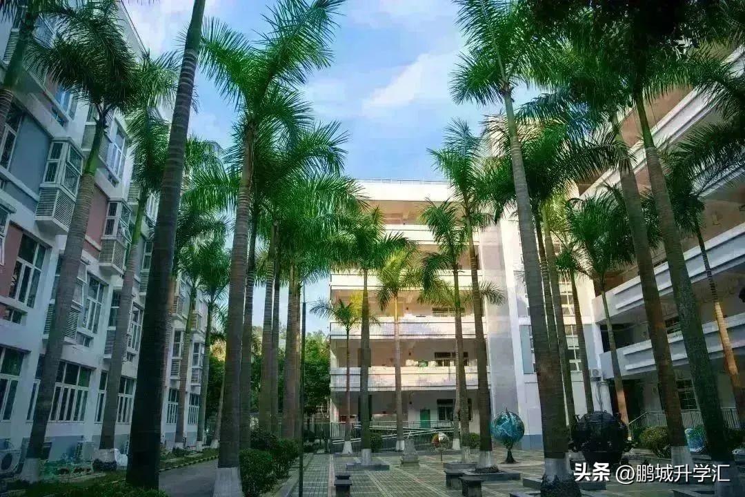 2024年深圳高中校园开放日,深圳市校园开放日