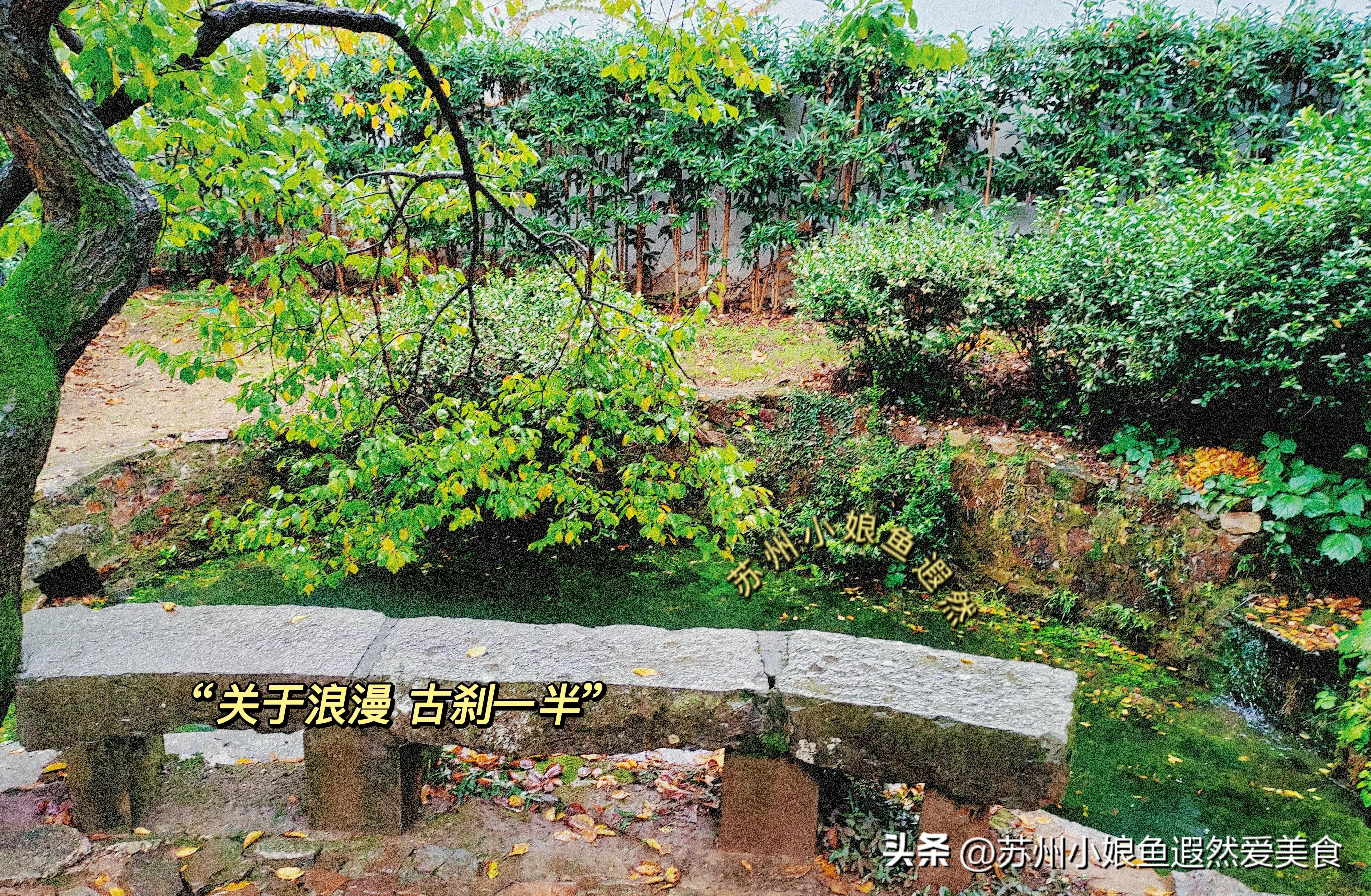 苏州古寨旅游攻略,苏州一日游攻略探索更好玩的景点