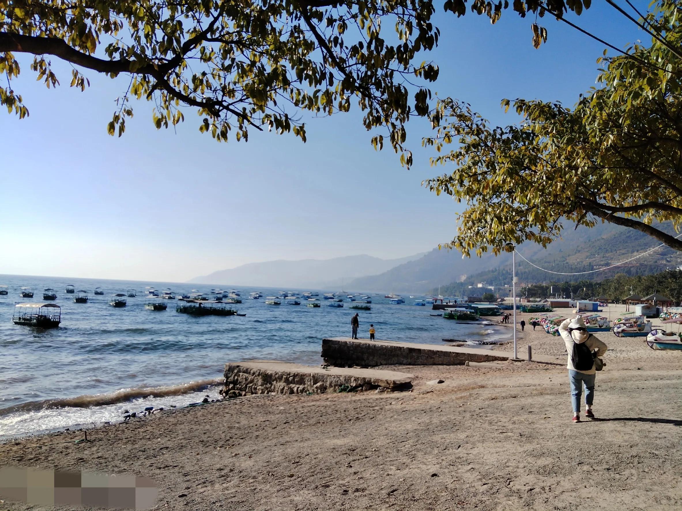 云南澄江抚仙湖自由行一日游,玉溪抚仙湖游玩攻略三天两晚冬天