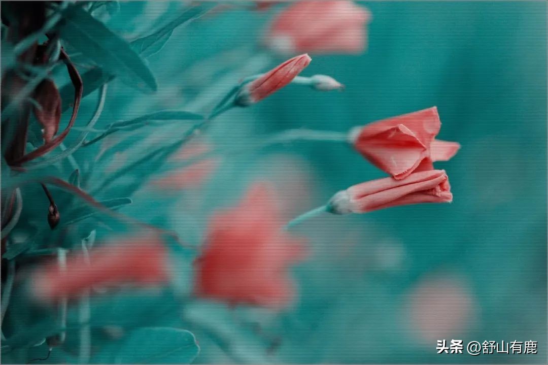 人在遭报应之前会有的表现,人会遭报应的前兆