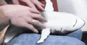 胸部的乳头有小疙瘩,男性乳头长疙瘩发痒