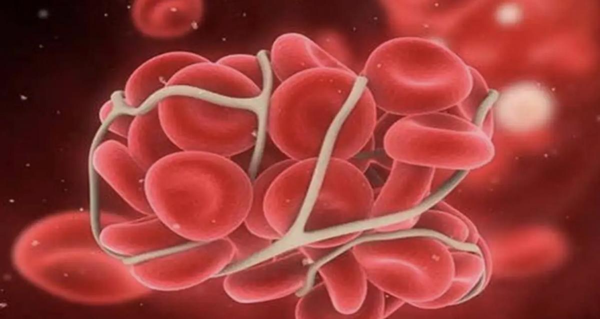 比“熊猫血”还稀有的救命血,世界上最罕见的血熊猫血