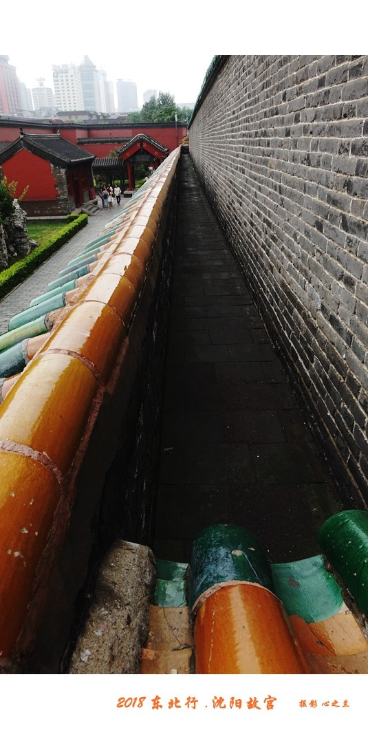 东北游记哈尔滨沈阳行,沈阳游故宫攻略