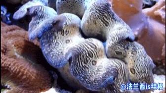 广西精致螺形勺子测评,螺形勺子有毒吗