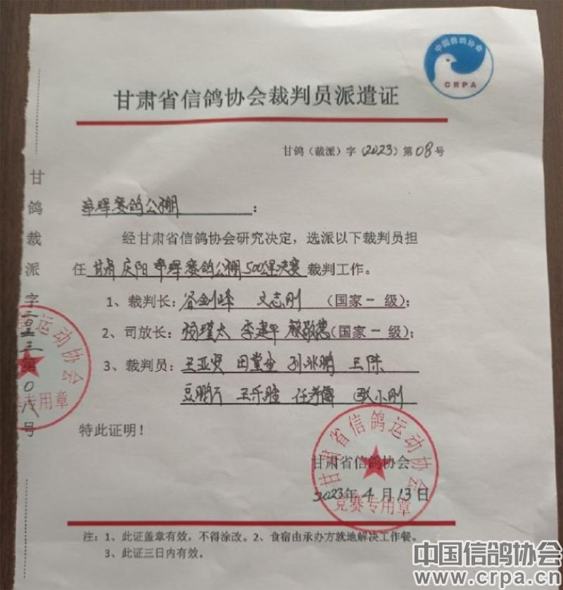 冠军高分速归巢！“洲际杯”甘肃帝珲站509公里决赛精彩回顾