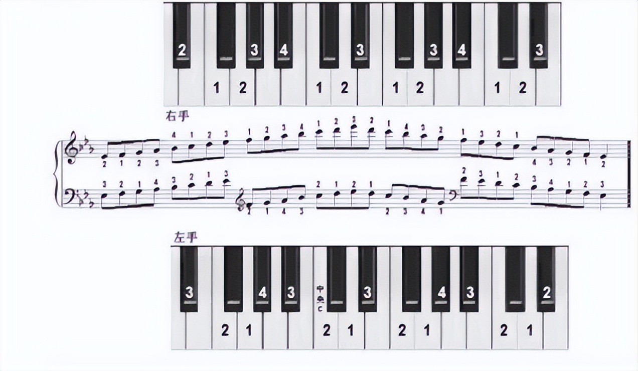 怎么学电子琴61键,怎么学电子琴成人班