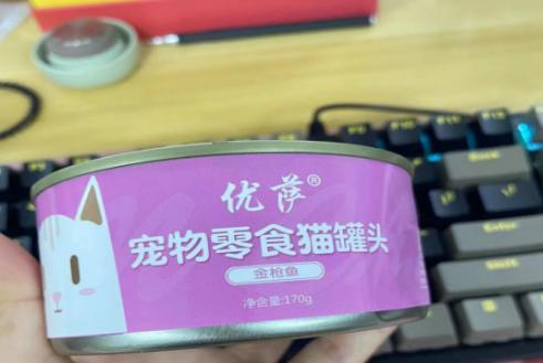 旺财家猫,猫咪旺财的10个特征