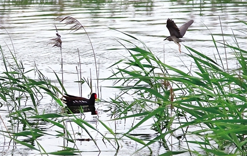 一座城市的发展不可限量,以县城为载体的城镇建设调研
