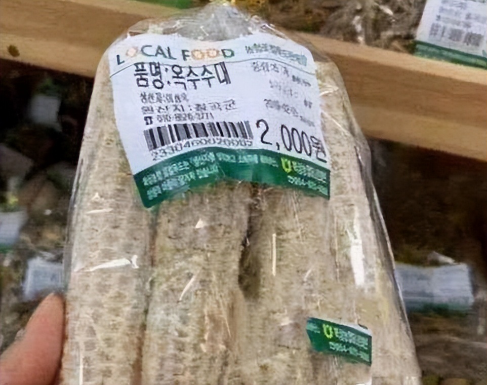 在中国用来喂猪的玉米芯,在中国喂猪的玉米棒子