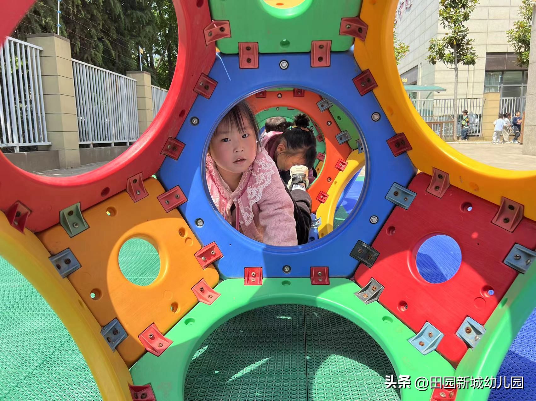 课程故事乌龟大班,嗨小鸭课程故事