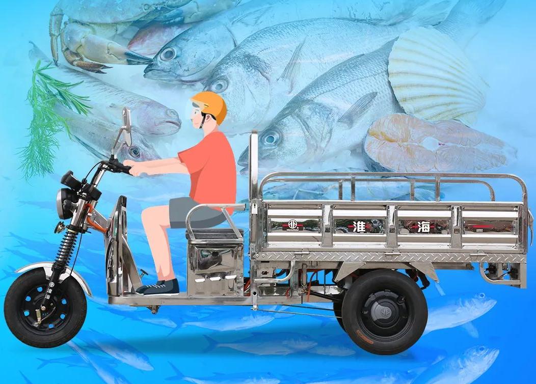 淮海电动三轮车哪款速度快,淮海电动三轮车60v32a