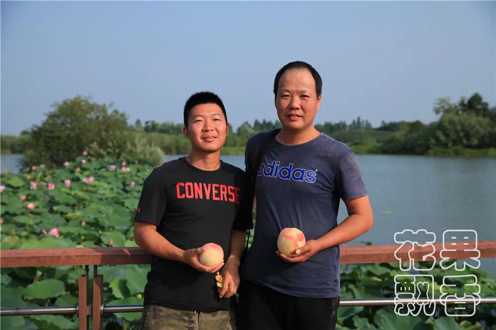 百果园种植技术,百果园的品种