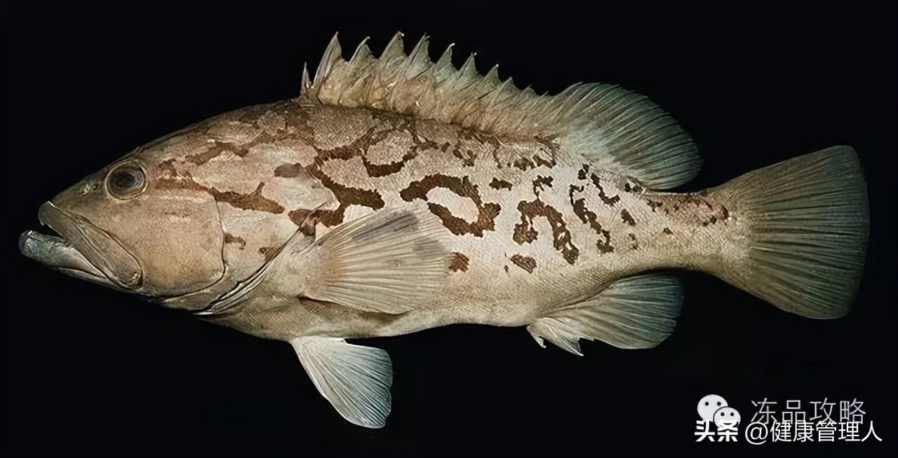 美容护肤食疗方案,美容护肤养生介绍