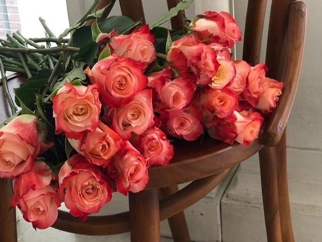 水瓶座的潜力,水瓶座能力排第几