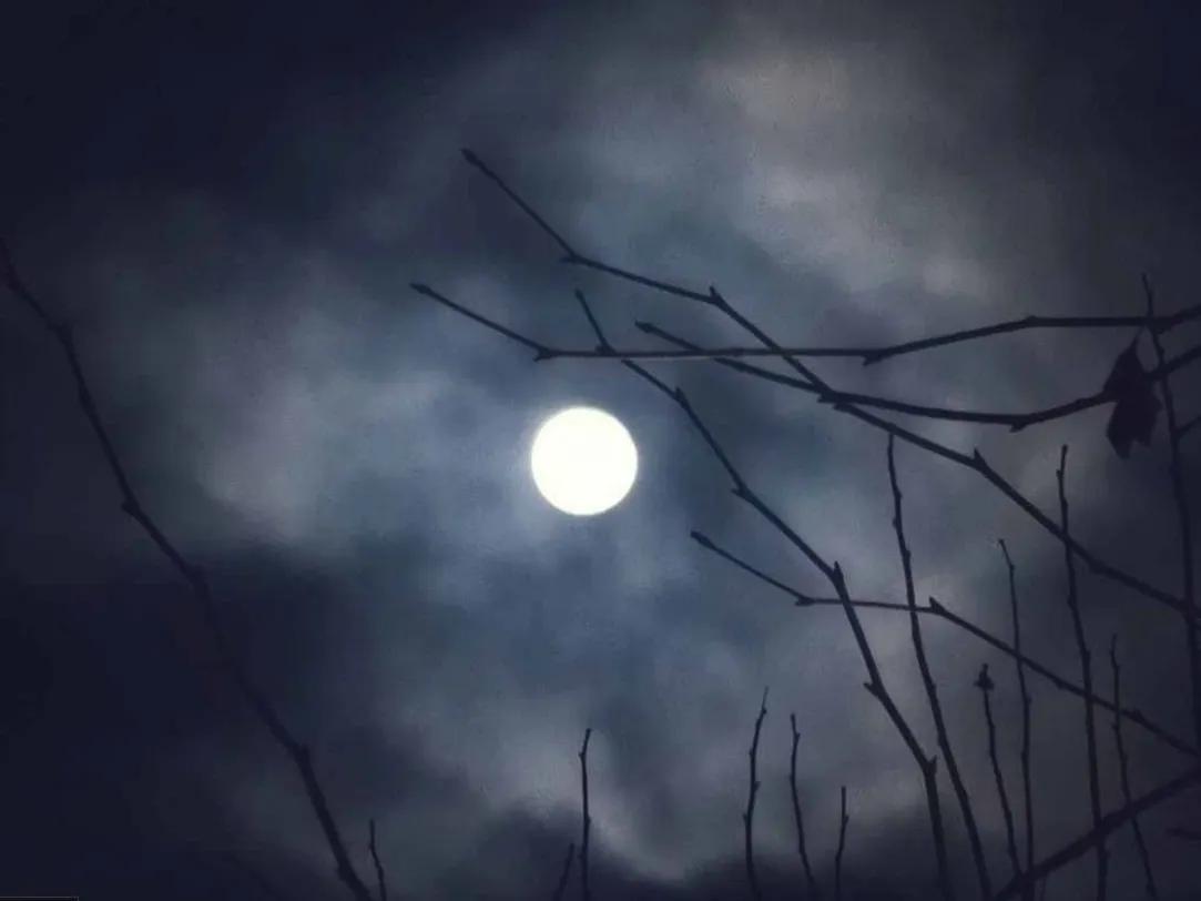 别晒幸福别晒甜蜜更别晒成功文案,别晒幸福别晒甜蜜更别晒成功